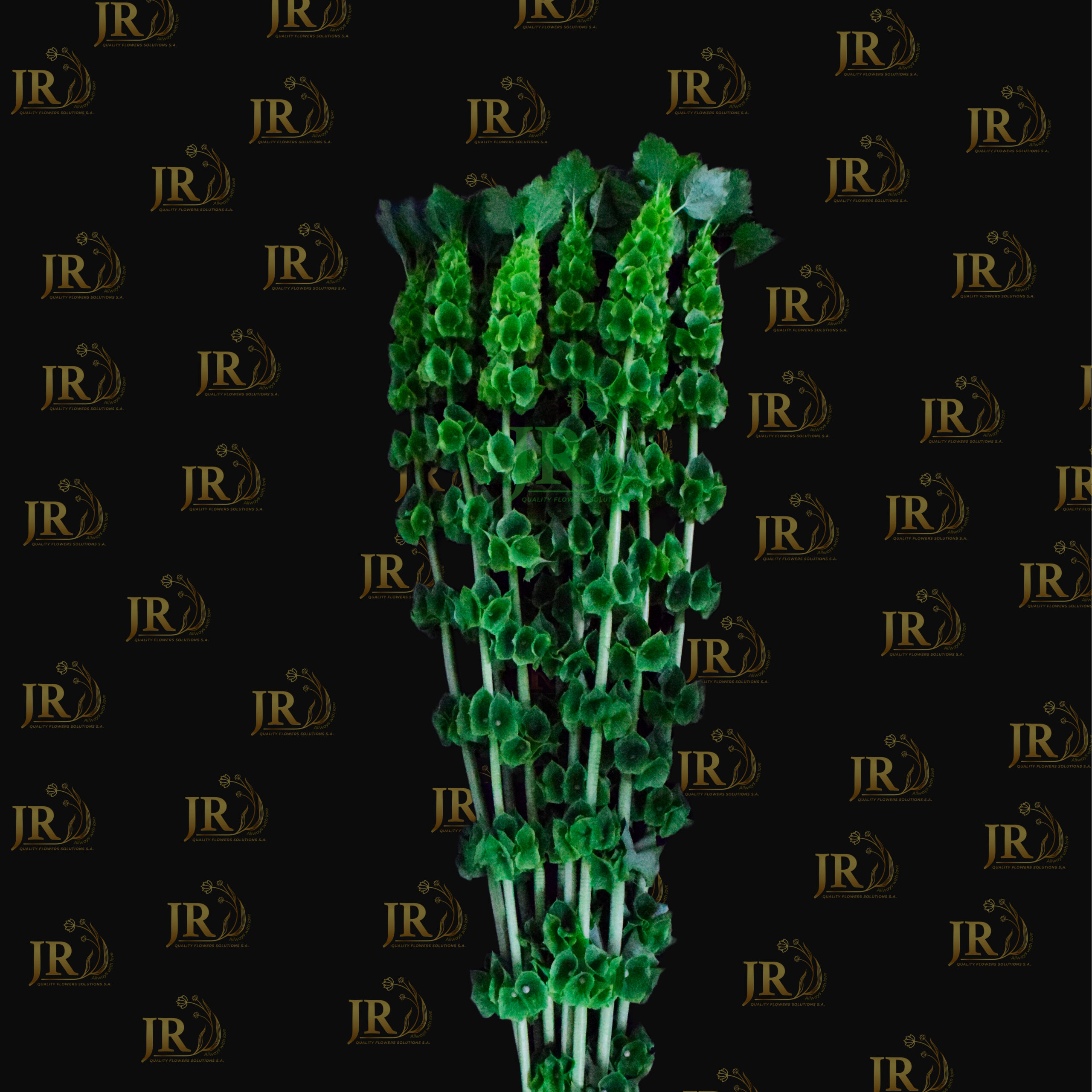 2 2